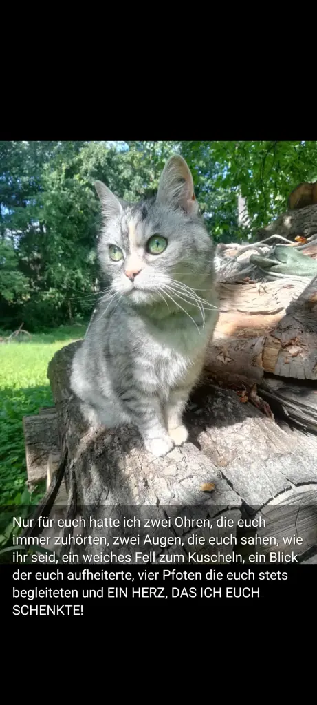 Condolence image of Für Renate