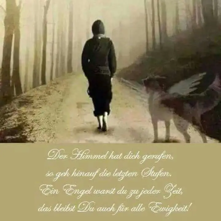 Condolence image of Für Artax Bubele