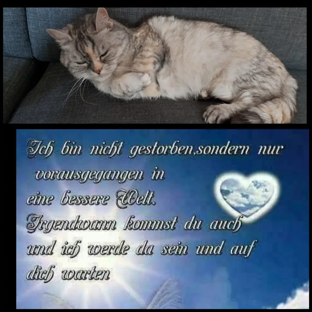 Condolence image of Für Renate