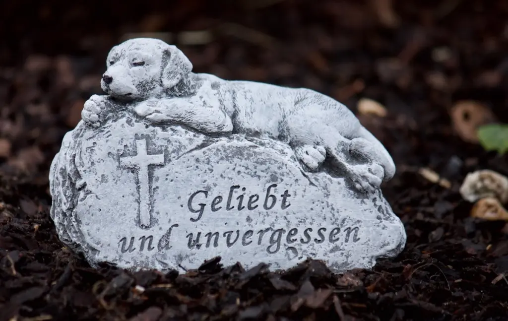 Condolence image of Für Renate und Artax