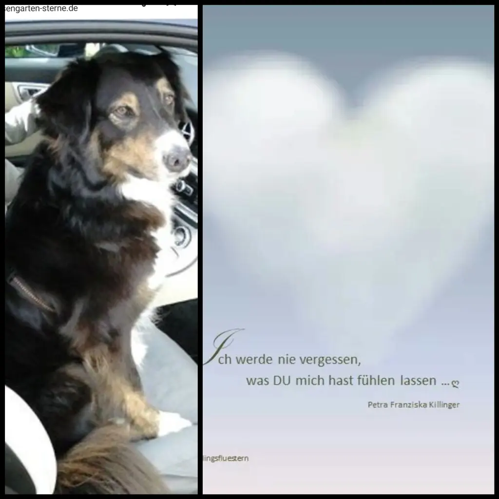 Condolence image of Von Mia♥️mit Silke 