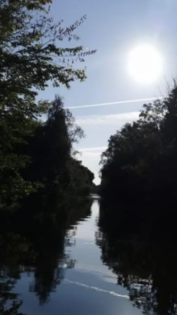 Condolence image of Sigrid 