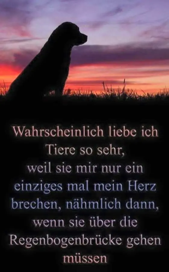 Condolence image of Für Renate♥️mit Bubele ♥️