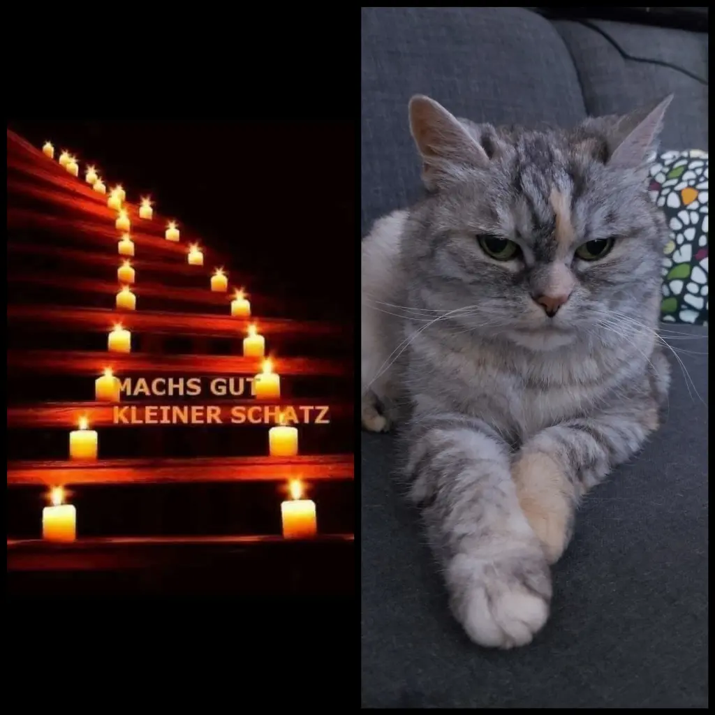 Condolence image of Für Renate♥️mit Bubele ♥️
