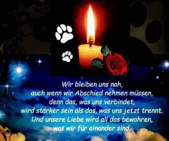 Condolence image of Silke mit Gila im ❤