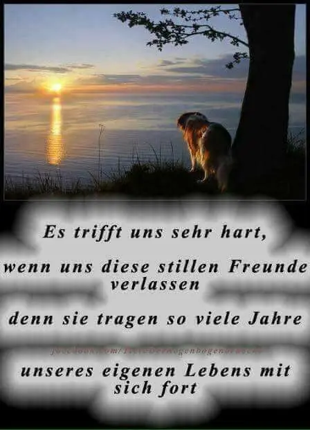 Condolence image of Für Renate♥️mit Bubele ♥️