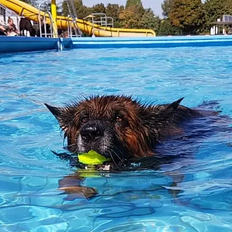 Condolence image of Silke mit Gila im ❤