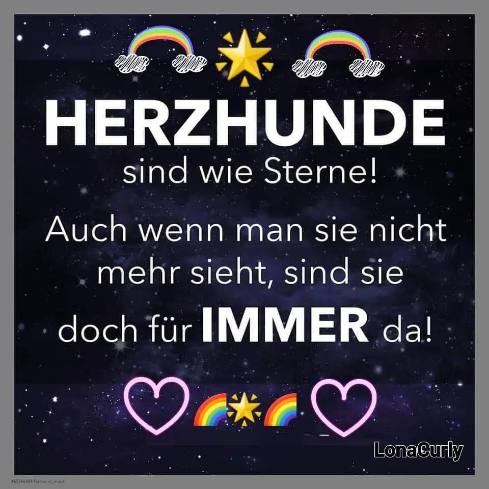 Condolence image of Silke mit Gila im ❤