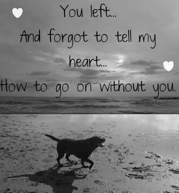 Condolence image of Von Mia♥️mit Silke