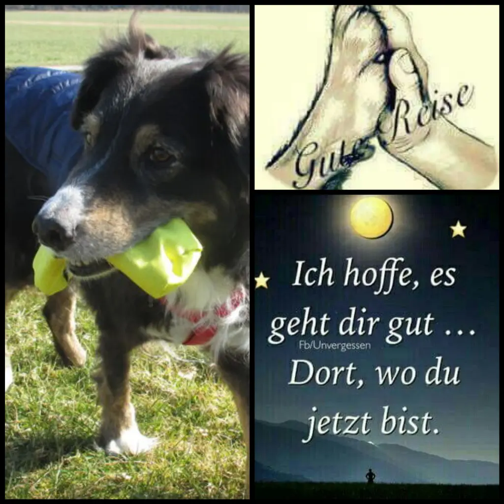 Condolence image of Für Renate♥️mit Bubele ♥️