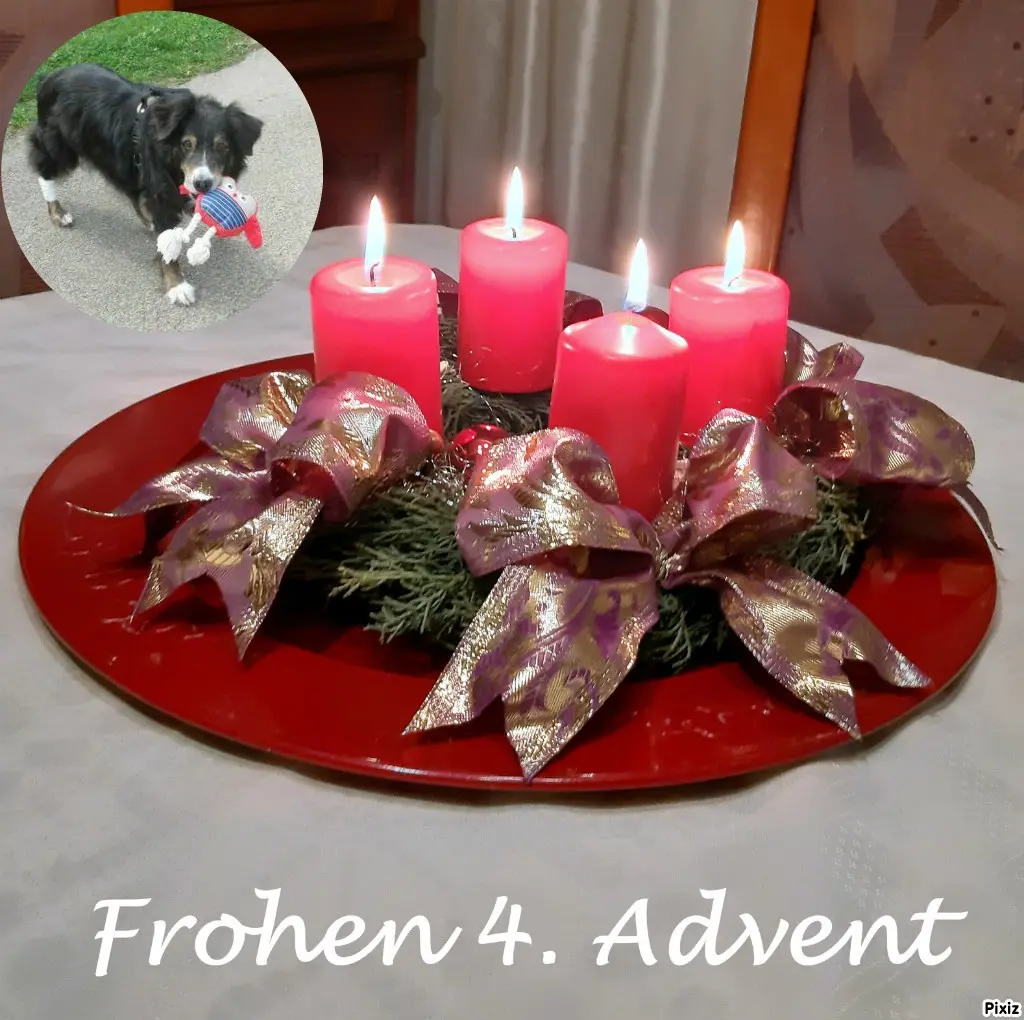 Condolence image of Tanja mit Timmy im Herzen