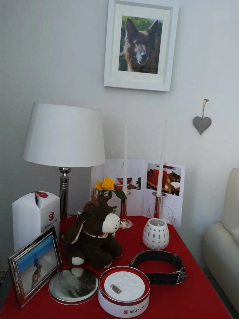 Condolence image of Silke mit Gila im ❤