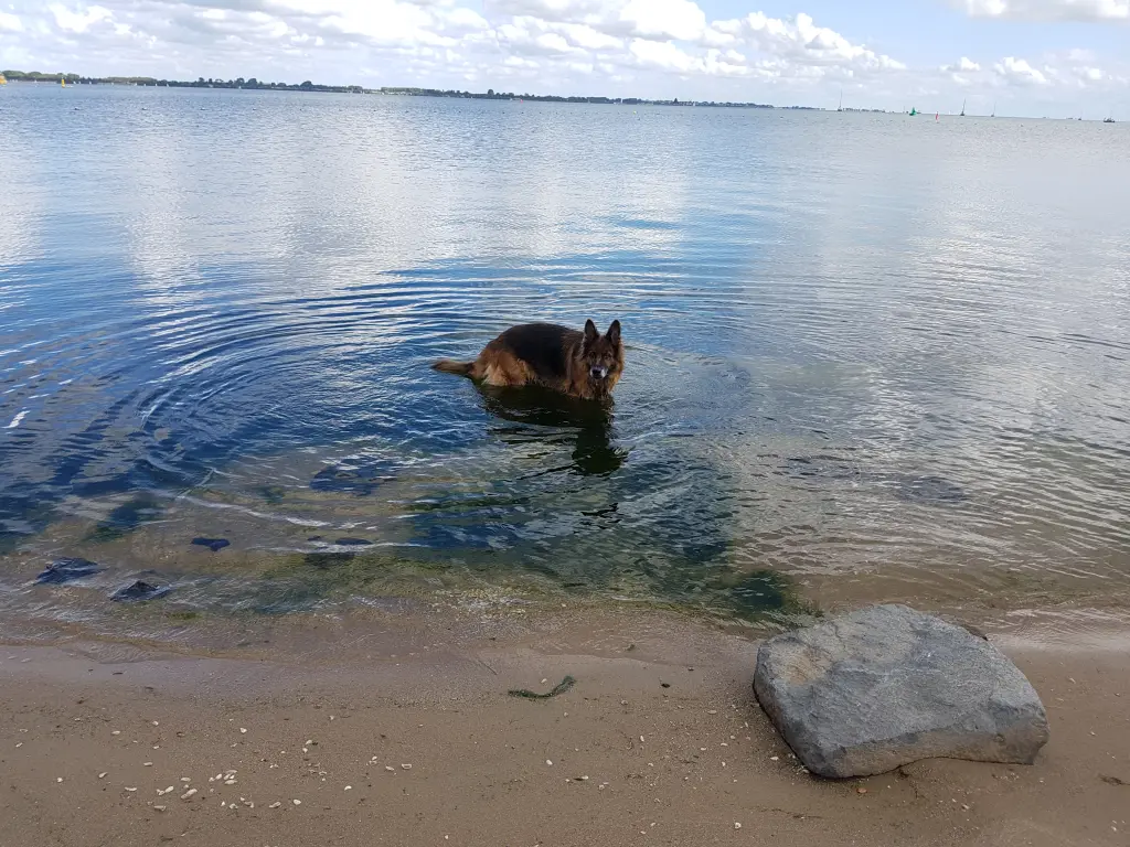 Condolence image of Silke mit Gila im ❤
