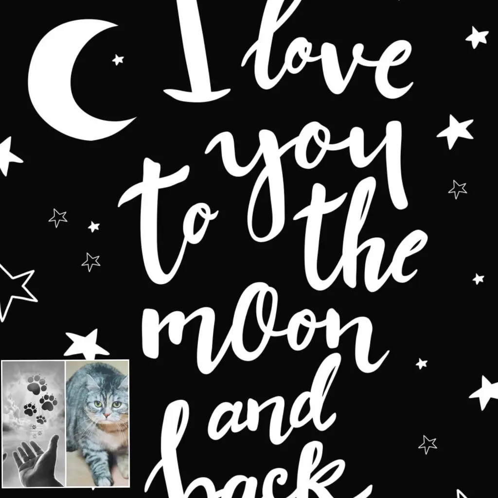 Condolence image of Für Renate♥️mit Bubele ♥️