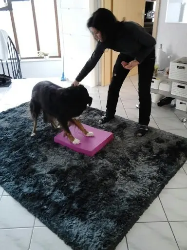 Condolence image of Renate mit Artax"Bubele" tief im Herzen