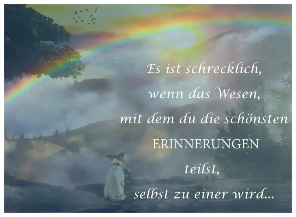 Condolence image of Silke mit Gila im ❤