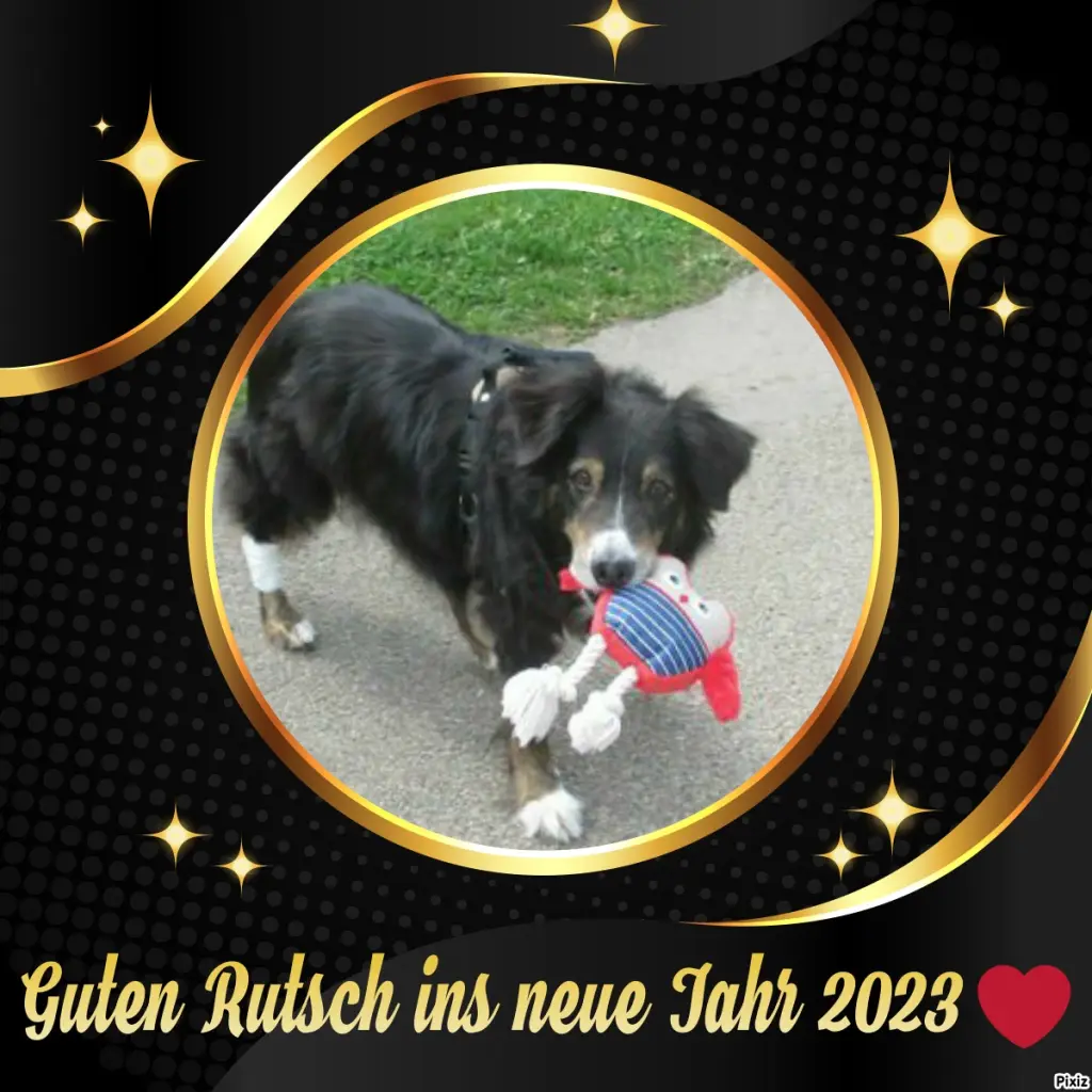 Condolence image of Tanja mit Timmy im Herzen 