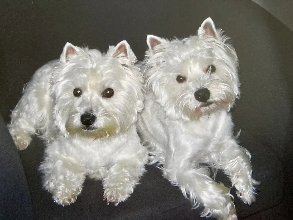 Condolence image of Unbekannt