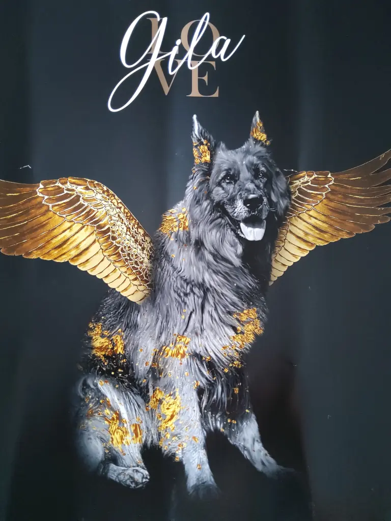 Condolence image of Silke  mit Gila im ❤