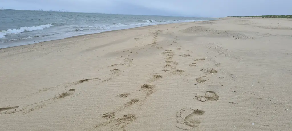 Condolence image of Silke  mit Gila im ❤