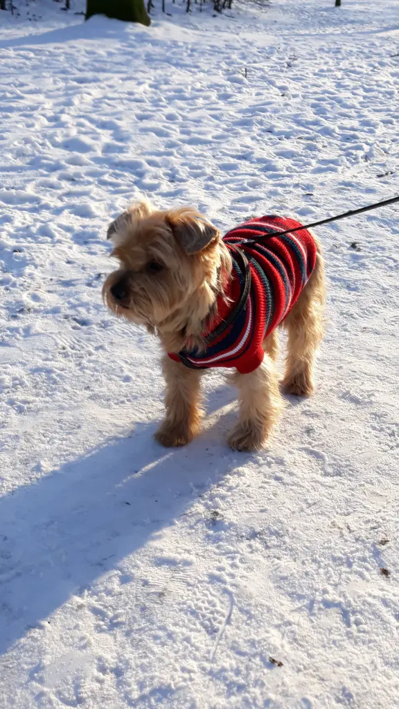 Condolence image of Krzysztof und Ewa mit Jacki tief im Herzen ❤