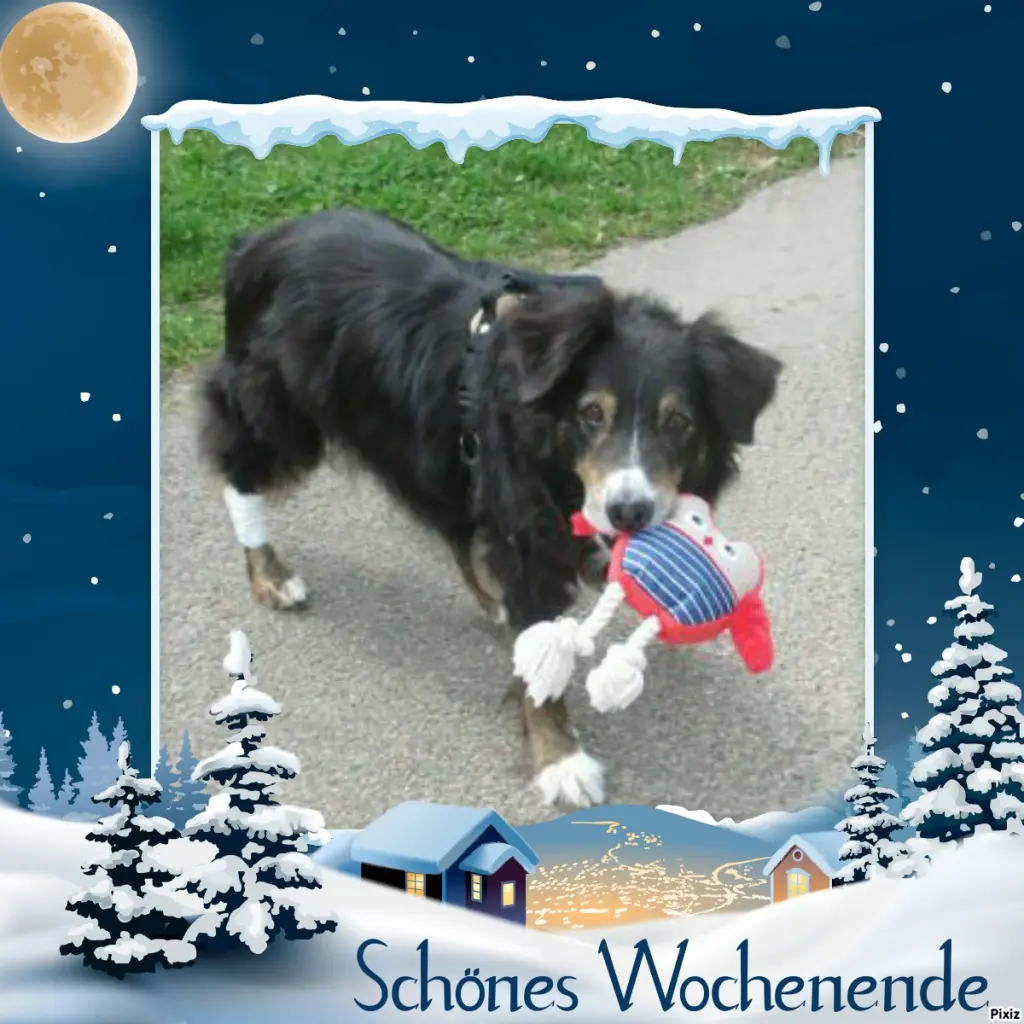 Condolence image of Tanja mit Timmy im Herzen 