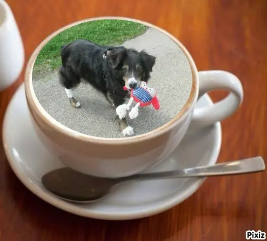 Condolence image of Tanja mit Timmy im Herzen 