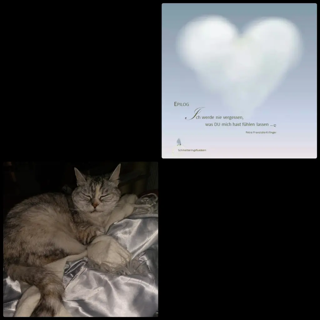 Condolence image of Hallo Neu Ulm♥️♥️