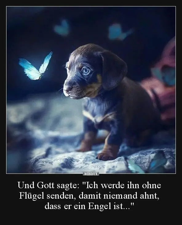 Condolence image of Für Renate♥️mit Bubele ♥️