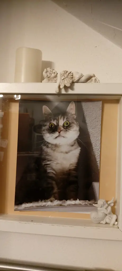 Condolence image of Von Silke mit Mia im ♥️