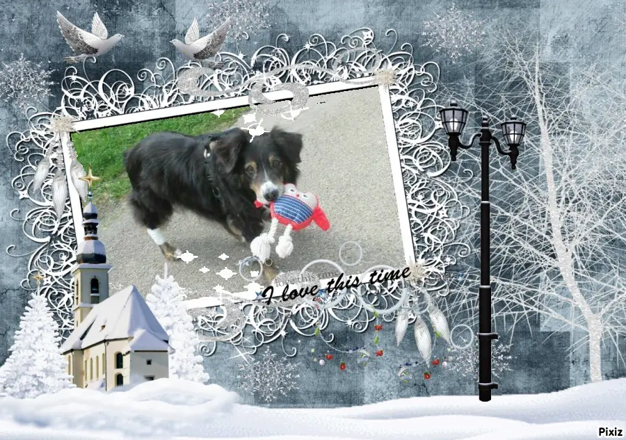 Condolence image of Tanja mit Timmy im Herzen 