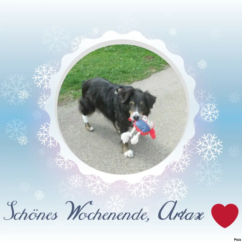 Condolence image of Tanja mit Timmy im Herzen 