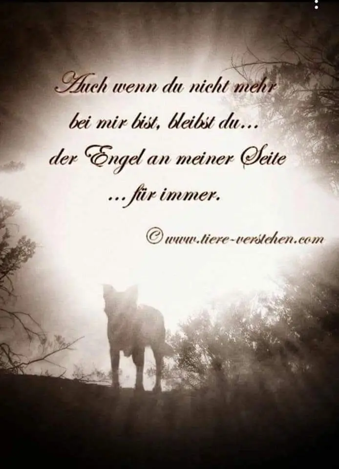 Condolence image of Silke mit Gila im ❤