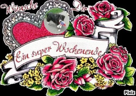 Condolence image of Tanja mit Timmy im Herzen