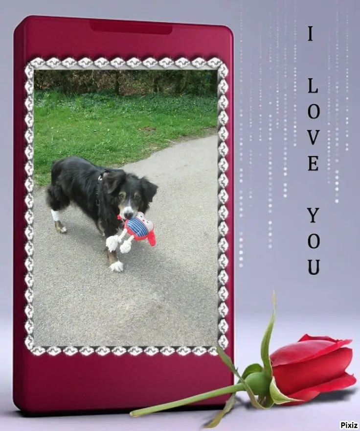 Condolence image of Tanja mit Timmy im Herzen