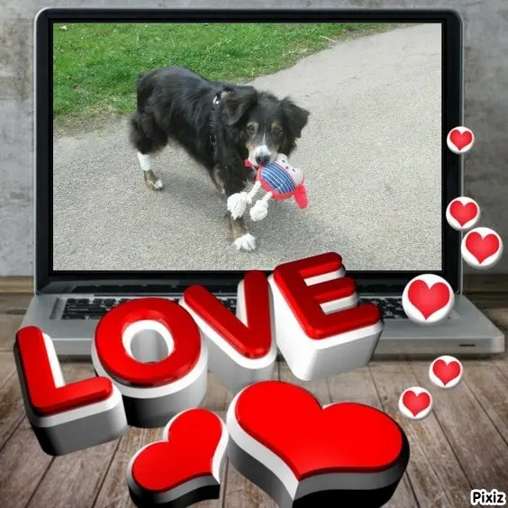 Condolence image of Tanja mit Timmy im Herzen 