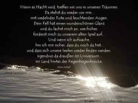 Condolence image of Silke mit Gila im ❤