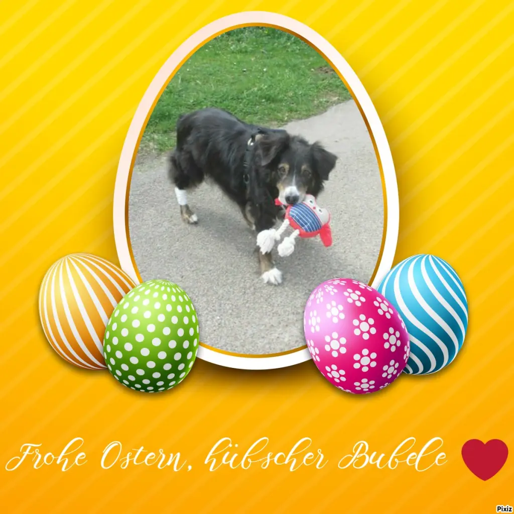 Condolence image of Tanja mit Timmy im Herzen 