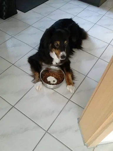 Condolence image of Herrle