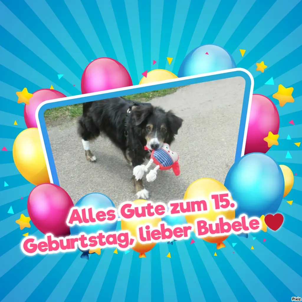 Condolence image of Tanja mit Timmy im Herzen 