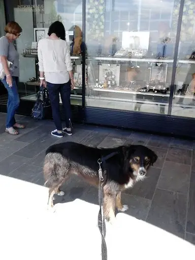 Condolence image of Fraule und Herrle