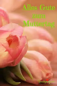 Condolence image of Snoopy ❤Pünktchen 