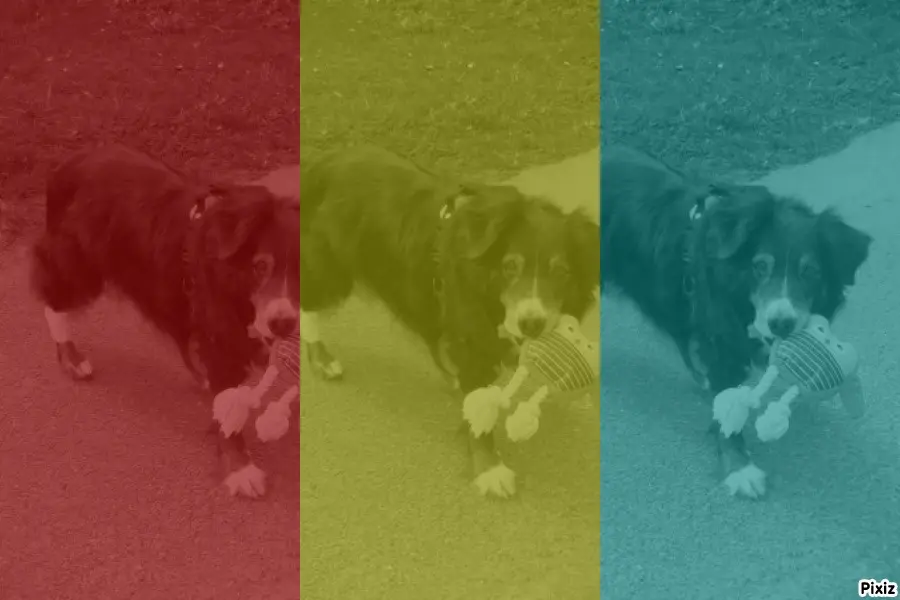 Condolence image of Tanja mit Timmy im Herzen 