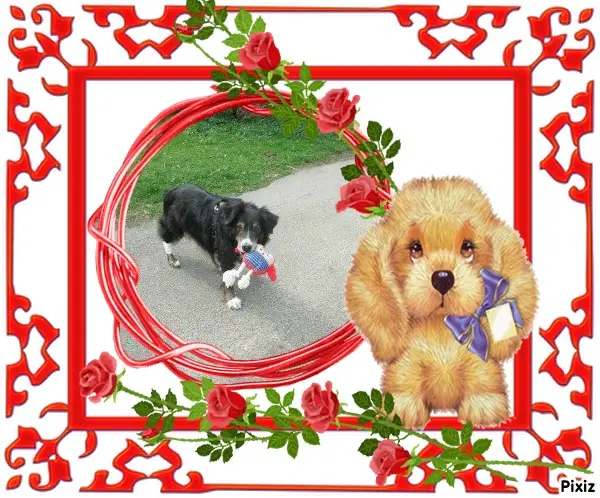 Condolence image of Tanja mit Timmy im Herzen 