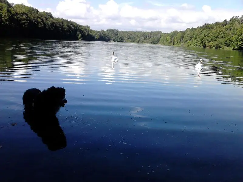 Condolence image of Fraule und Herrle