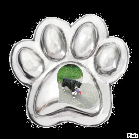 Condolence image of Tanja mit Timmy im Herzen 