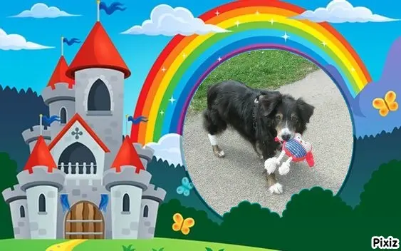 Condolence image of Tanja mit Timmy im Herzen 