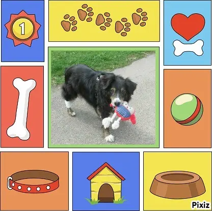 Condolence image of Tanja mit Timmy im Herzen