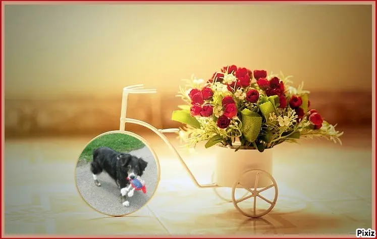 Condolence image of Tanja mit Timmy im Herzen 