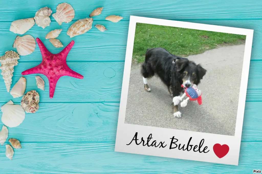 Condolence image of Tanja mit Timmy im Herzen 